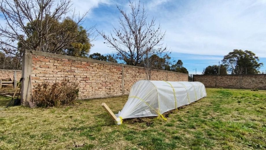 La Casita de Viedma incorporó un microinvernadero para desarrollar actividades de producción y aprendizaje. Foto: Gobierno de Río Negro.