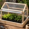 Imagen de Cómo hacer un mini invernadero en casa: materiales, paso a paso y qué se puede cultivar
