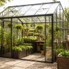 Imagen de La nueva tendencia para el hogar: invernaderos que combinan diseño, plantas y bienestar