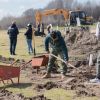 Imagen de Casi 2.000 sauces criollos ya crecen en Río Negro y la provincia prepara nuevas plantaciones
