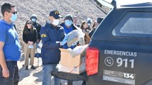 Imagen de Más de 600 kilos de plantas de marihuana y 10 kilos de cogollos: así fue la quema de droga en Roca