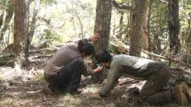 Imagen de Desde Bariloche, científicos se suman a una red internacional para estudiar la fauna