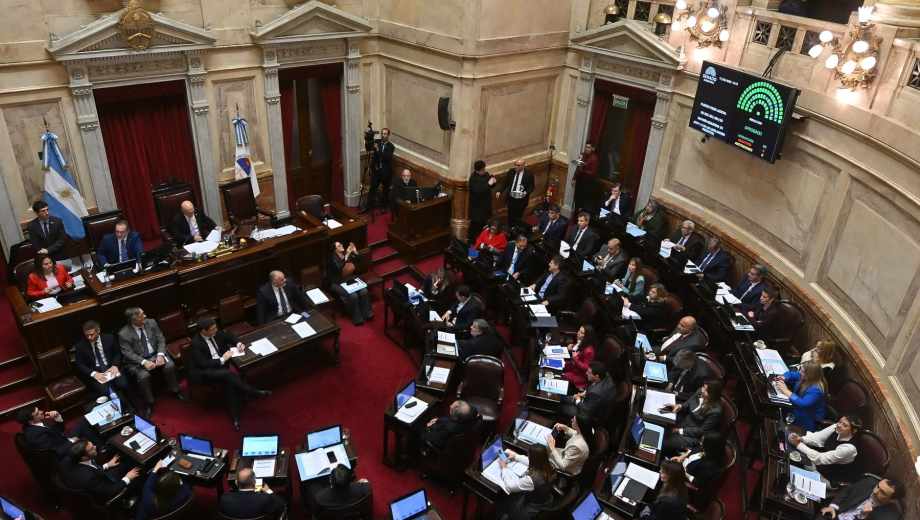 El Senado aprobó Inocencia Fiscal II. Foto: Clarín Fotografía 