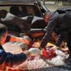 Imagen de Llevaban más 200 kilos de carne de caballo en la camioneta y fueron multados en Neuquén: investigan presunto abigeato