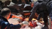 Imagen de Llevaban más 200 kilos de carne de caballo en la camioneta y fueron multados en Neuquén: investigan presunto abigeato
