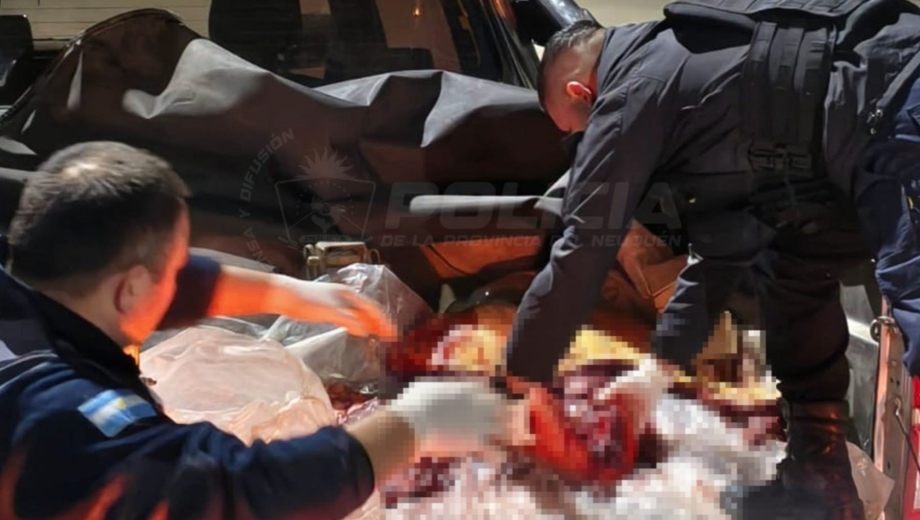 Fotos: Policía del Neuquén.