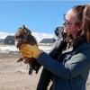 Imagen de Apareció semisumergido en un arroyo de Caviahue y el gesto de un vecino le salvó la vida