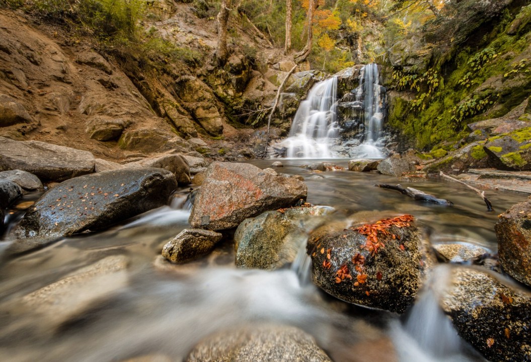 Cascada Inacayal: el circuito entre ella y el mirador Belvedere ofrece una caminata de dificultad media-baja.