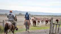 Imagen de La 15° Expo Rural del Alto Valle ya tiene su cronograma completo y espera a ganaderos y familias este fin de semana