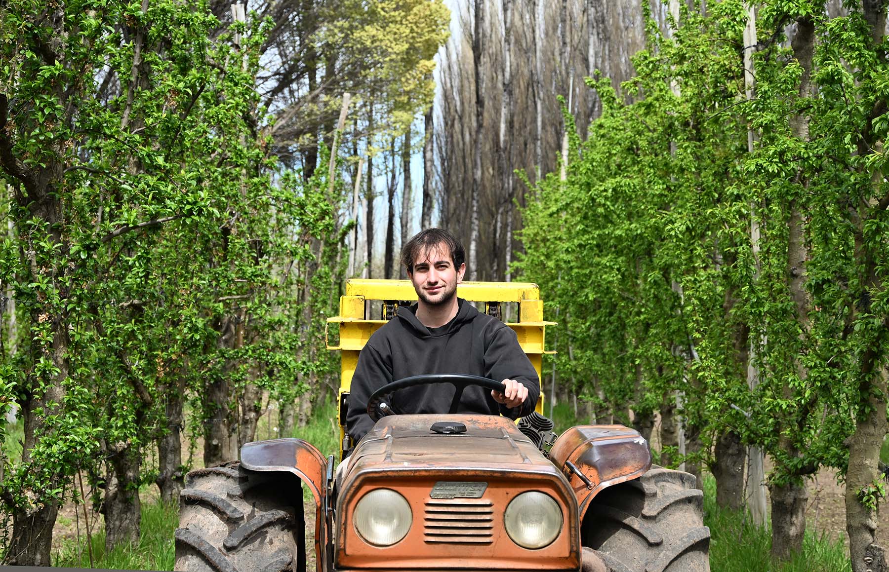 Recambio generacional en la fruticultura patagónica: Gino Poli toma las riendas