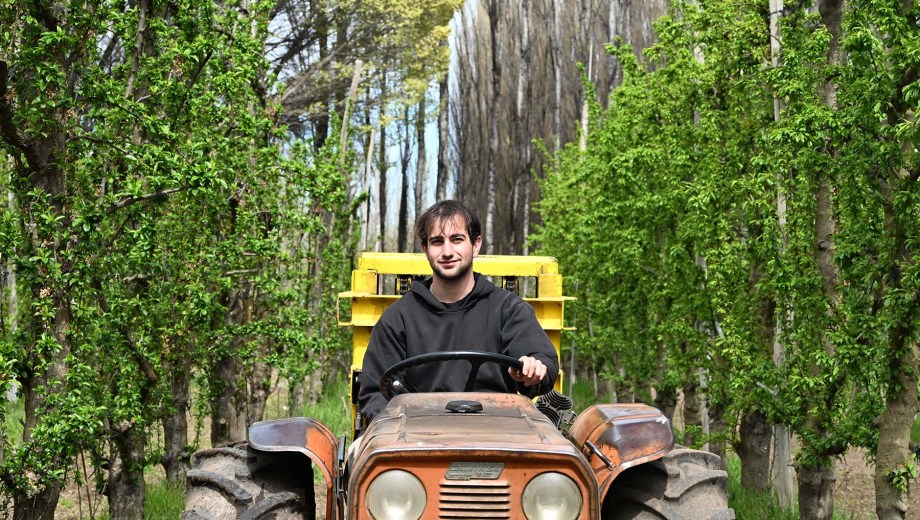 Gino Poli renueva las esperanzas de continuidad en la chacra frutícola familiar, en el Alto Valle. Foto: Florencia Salto.