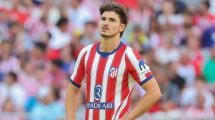 Imagen de ¡Fin de la novela! Julián Álvarez se queda en el Atlético de Madrid, que está cerca de cerrar otro argentino mundialista