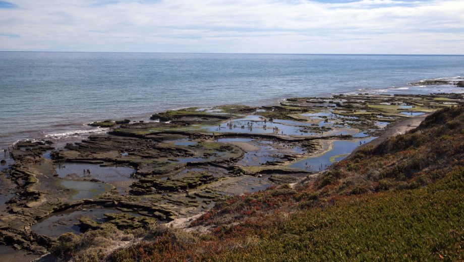 La costa de La Lobería ofrece uno de los paisajes más característicos del litoral rionegrino. Foto: Marcelo Ochoa.