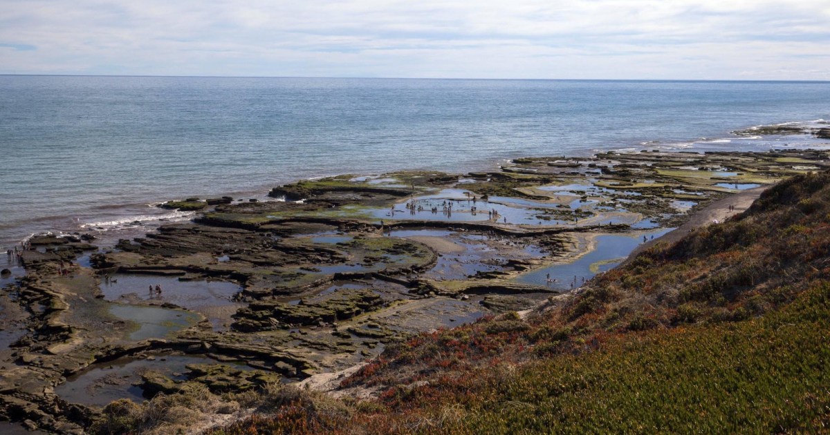 La Lobería: un enclave patagónico de lobos marinos y luces misteriosas
