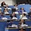 Imagen de Jabalí, carne para autoconsumo y fauna nativa: la nueva Ley de Carnes de Río Negro que generó cruces en la Legislatura