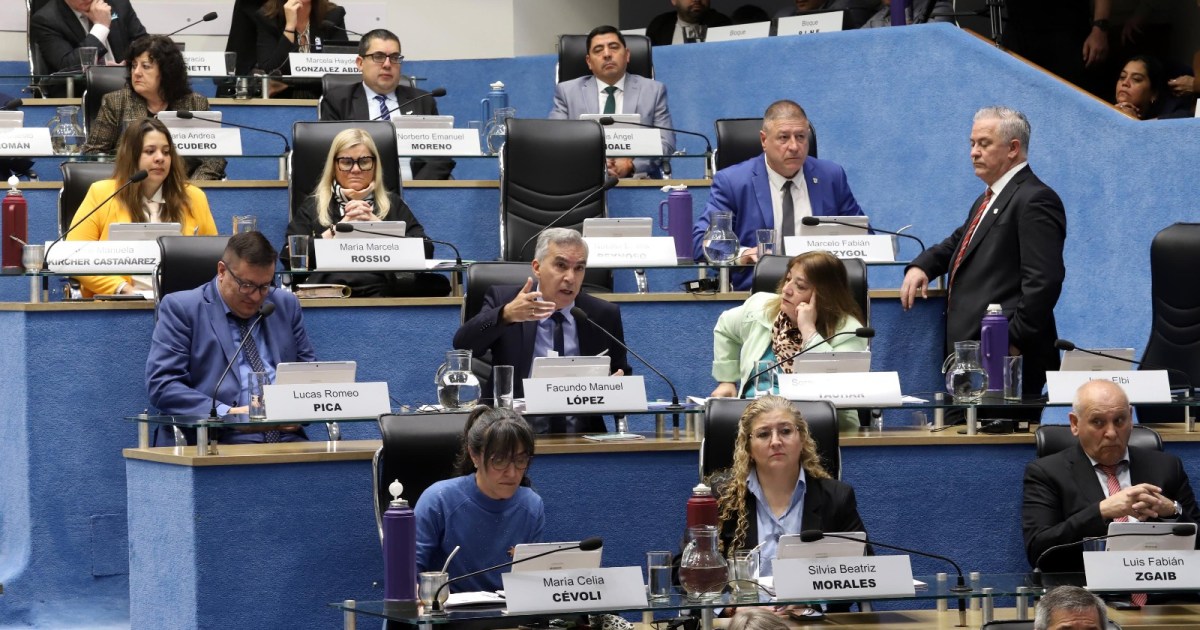 Aprobación de la nueva Ley de Carnes en Río Negro genera tensiones legislativas