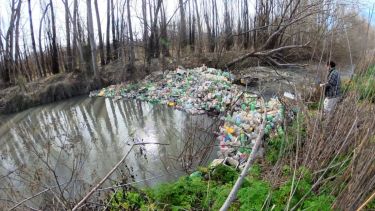 La Federación de Productores de Río Negro y Neuquén pide intervención por contaminación en canales de riego y desagües del Alto Valle