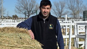 Rodrigo Núñez, de productor a presidente de la Rural de Viedma: el desafío de mostrar el potencial ganadero de la Patagonia