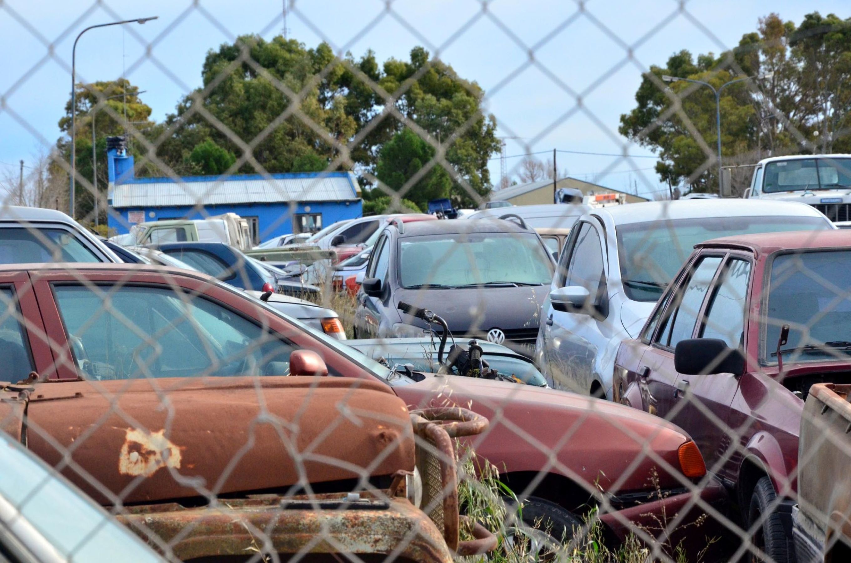 Emergencia sanitaria en Viedma: el proyecto que busca reducir los vehículos secuestrados en el predio municipal