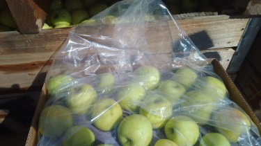 Una herramienta con sello patagónico que busca darle más tiempo de conservación y calidad a la fruta en frío