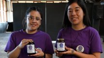 Imagen de Mailén: la cooperativa de mujeres de El Bolsón que transforma frutos patagónicos en trabajo
