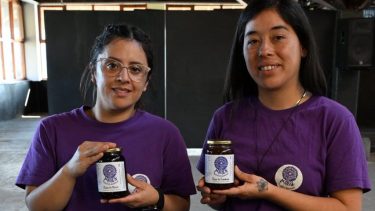 Mailén: la cooperativa de mujeres de El Bolsón que transforma frutos patagónicos en trabajo