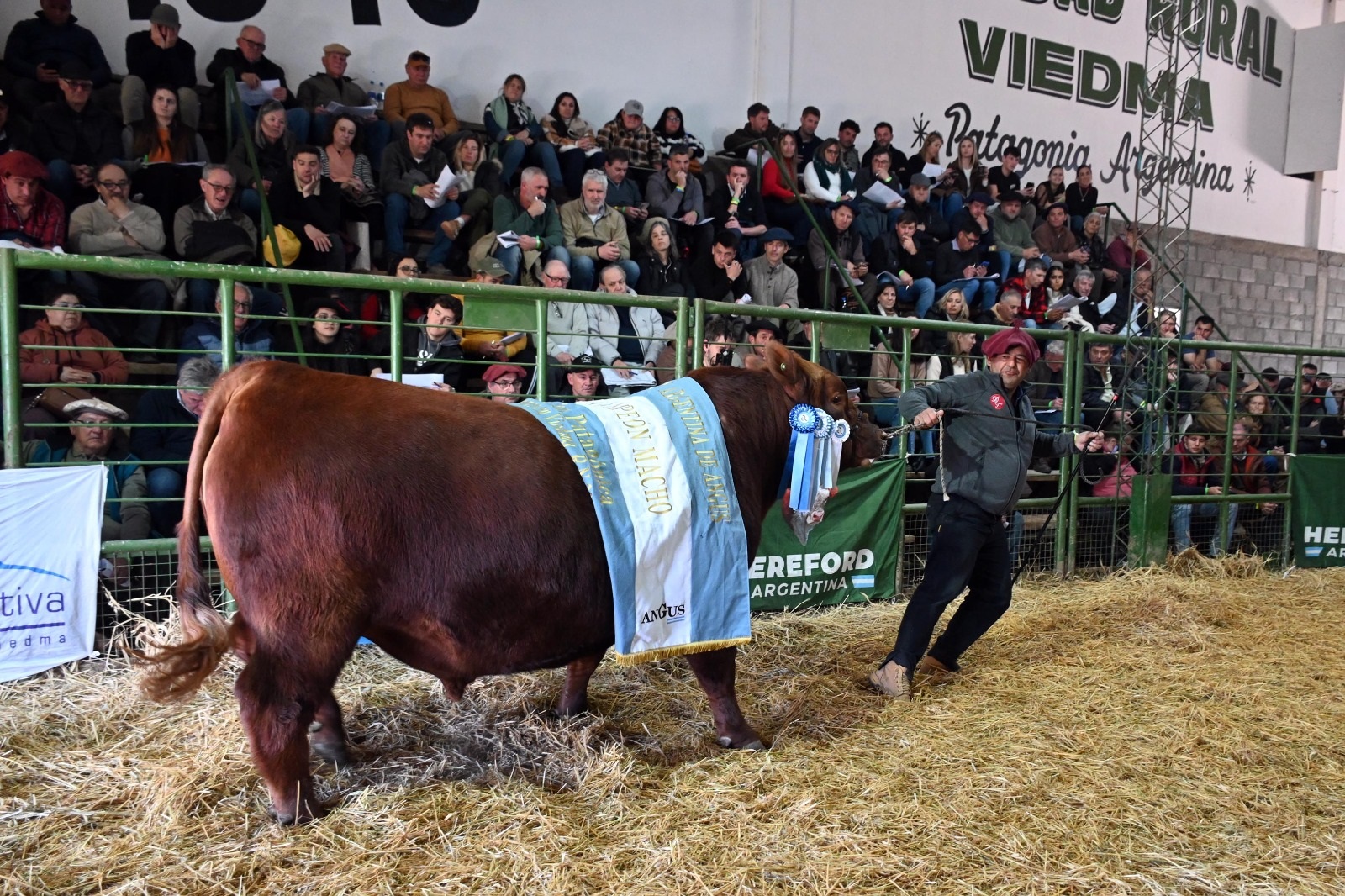 La 30° Exposición Rural de Viedma alcanzó ventas de más de $1.200 millones