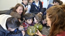 Imagen de Con el Inibioma Abierto, unos 2.000 chicos entran al mundo de la ciencia en Bariloche