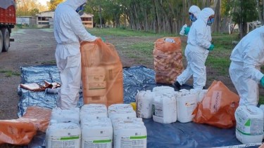 El Valle de Viedma avanza en la recuperación de envases vacíos de fitosanitarios