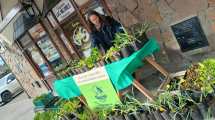 Imagen de Ni la nieve frenó la tradición: Villa La Angostura regaló plantines por el Día de la Primavera