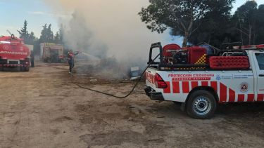 Incendio en un sector del Parque Norte de Neuquén: la columna de humo alertó a los vecinos