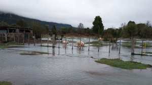 Una “islita” entre dos ríos: la vida de los pobladores de El Foyel durante la inundación