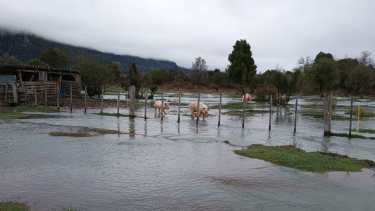 Una “islita” entre dos ríos: la vida de los pobladores de El Foyel durante la inundación