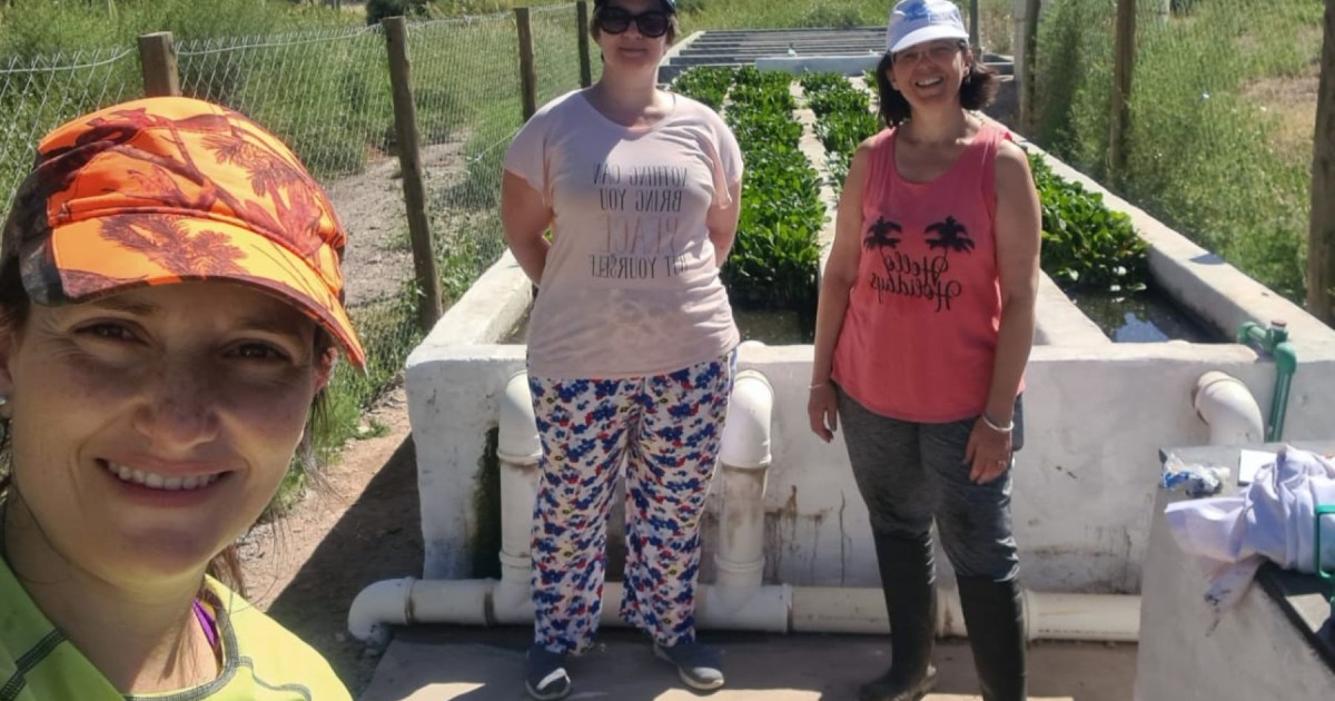 Transformación de residuos cloacales en energía en San Martín de los Andes