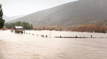 Imagen de Crecidas y varias complicaciones en las rutas de Neuquén: lo que dejó el fuerte temporal de lluvia en la cordillera