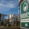 Imagen de Ley de biocombustibles: las empresas de biodiésel advirtieron a Javier Milei y proponen un esquema de consenso