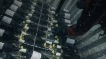 Imagen de ¿Querés añejar vinos bajo el mar del golfo San Matías?