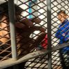 Imagen de Nuevo Régimen Penal Juvenil en Argentina: cómo es el reglamento para adolescentes que comentan delitos