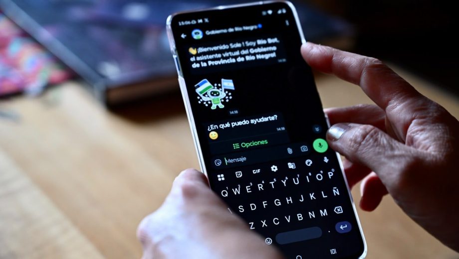 La provincia tiene activo el chat bot RIO y prepara el lanzamiento de una versión más avanzada. Foto. Chino Leiva