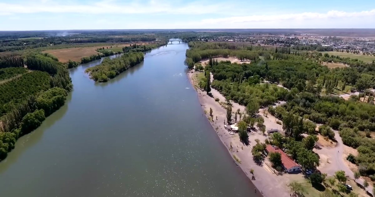 Valle Medio: clave para la nueva matriz agrícola-ganadera de Río Negro