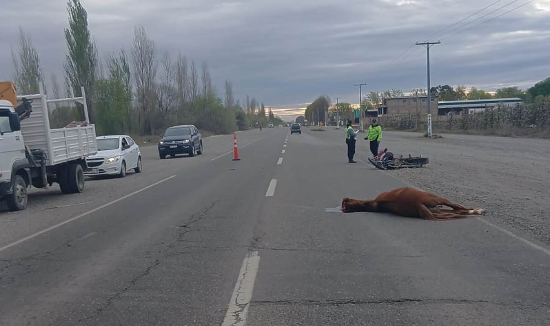 Accidente en la Ruta 22: motociclista choca contra un caballo en Cervantes