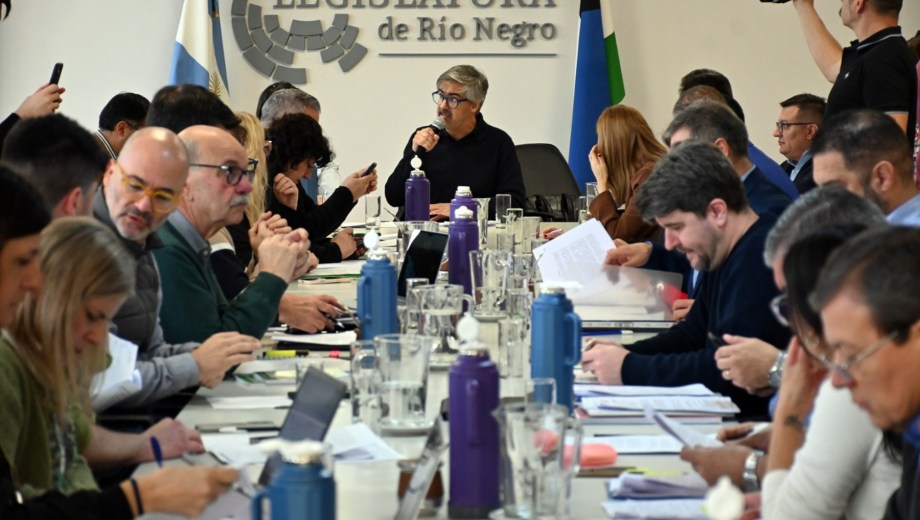 El dictamen del plenario de comisiones fue por amplia mayoría.  Foto: Marcelo Ochoa.