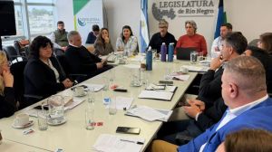 Jabalí, guanaco y producción artesanal: la nueva Ley de Carnes de Río Negro dio un paso clave en la Legislatura