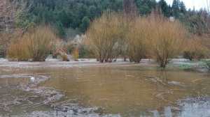Cordillera de Río Negro: crecidas extraordinarias de hasta 1,5 metros en los ríos