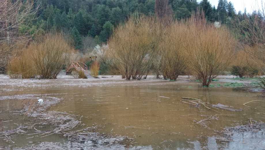 El río Quemquemtreu en El Bolsón tuvo picos de crecidas de 50 metros cúbicos con las últimas precipitaciones. Foto: Gentileza