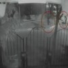 Imagen de Un crimen filmado conmociona a Neuquén: comenzó el juicio por la estocada mortal y por la espalda a Cristian Queupán