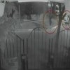 Imagen de Mató de una puñalada por la espalda y quedó filmado en Neuquén: condenaron al asesino de Cristian Queupán