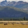 Imagen de Alerta roja por lluvias en la cordillera: entre el alivio hídrico para el campo y los inconvenientes que puede generar en los caminos rurales y las pariciones