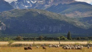 Alerta roja por lluvias en la cordillera: entre el alivio para el campo y los inconvenientes que puede generar