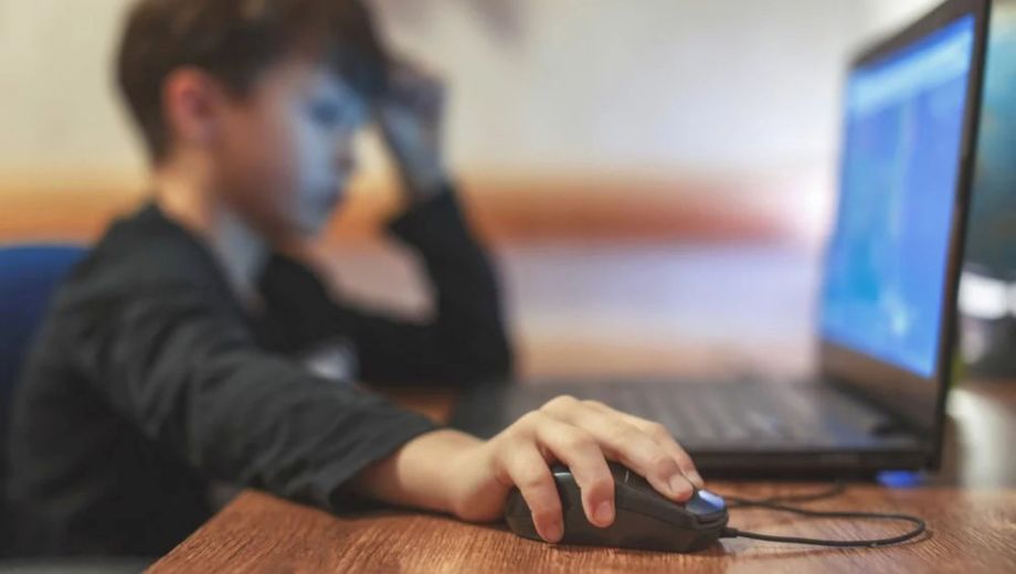 Grooming, sexting y ciberbullying: proponen crear un observatorio preventivo en Viedma